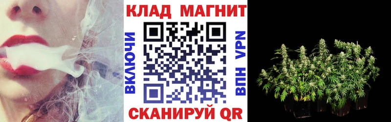 Где можно купить наркотики Снежинск Alpha PVP  Псилоцибиновые грибы  Мефедрон  ГАШ  Cocaine 