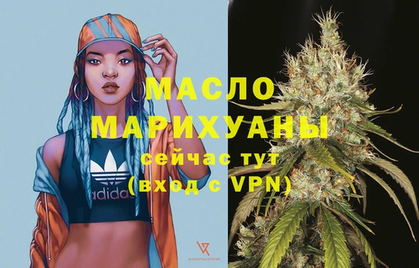 сатива Туринск