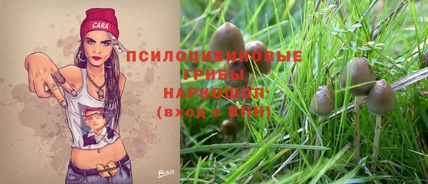 соль ск Вязники