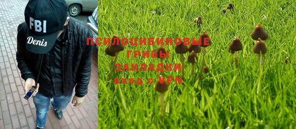 МДПВ Вязьма