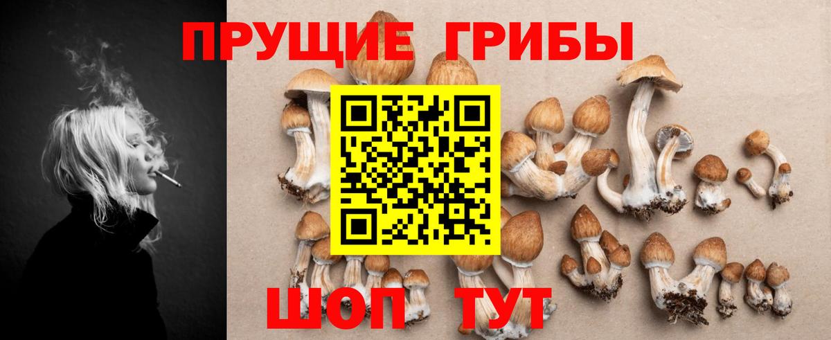 Галлюциногенные грибы Cubensis  Вход с VPN  Псилоцибиновые грибы MAGIC MUSHROOMS  Снежинск 